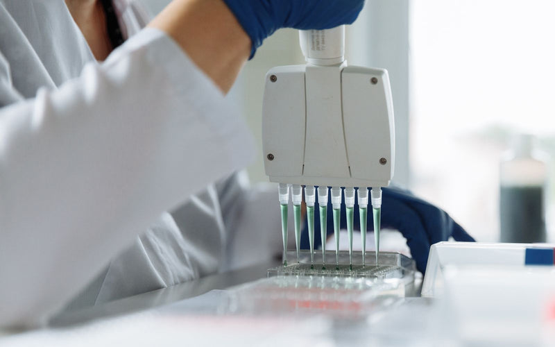 Een onderzoeker gebruikt een multichannel-pipet tijdens laboratoriumwerk aan peptidesynthese.